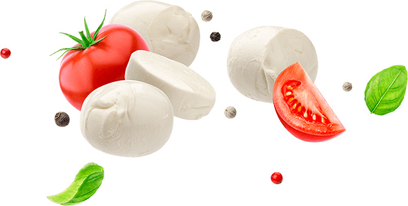 falling-mozzarella-cheese-isolated-on-white-backgr-W4UPR97-11.png