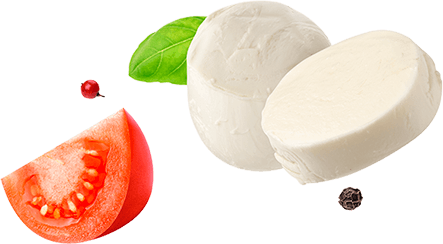 falling-mozzarella-cheese-isolated-on-white-backgr-W4UPR97-12.png